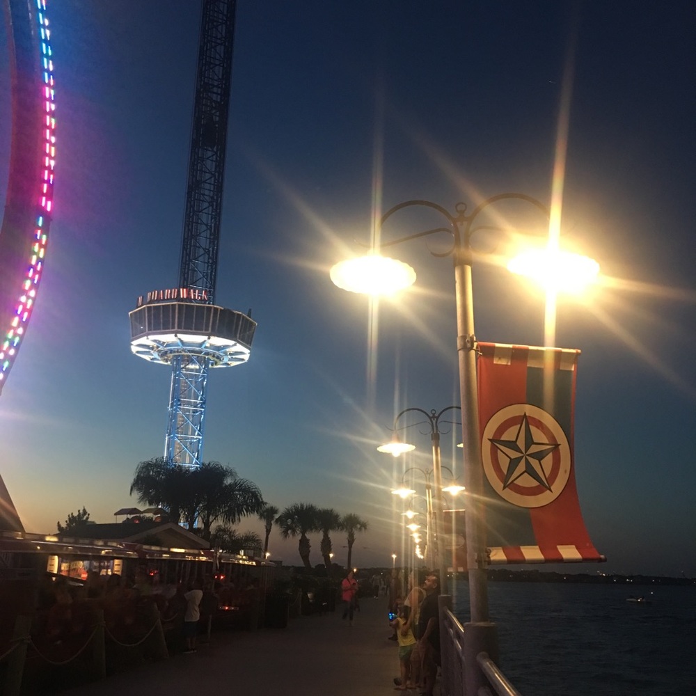 Meet your Posher, Dora